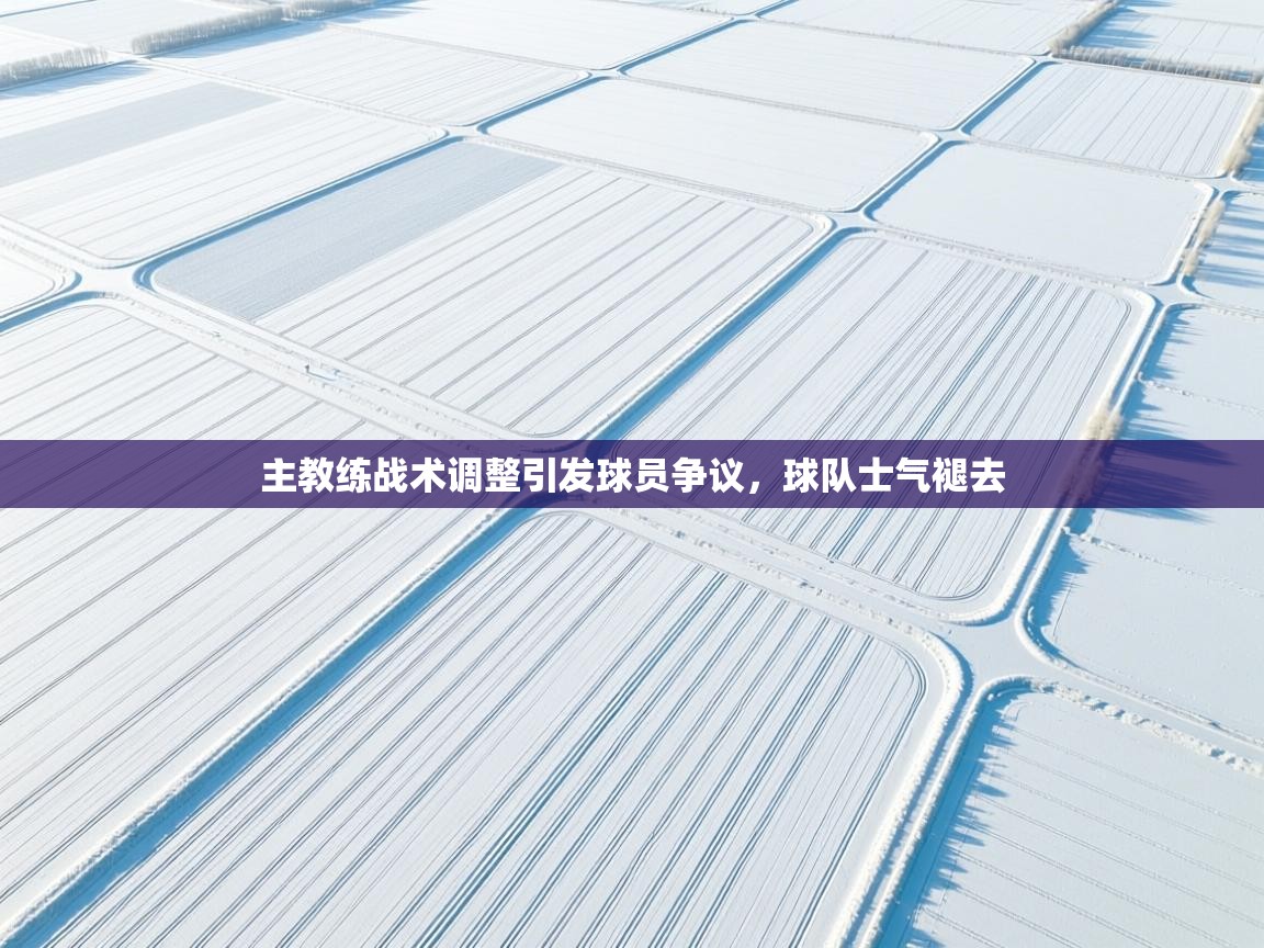 主教练战术调整引发球员争议，球队士气褪去  第1张