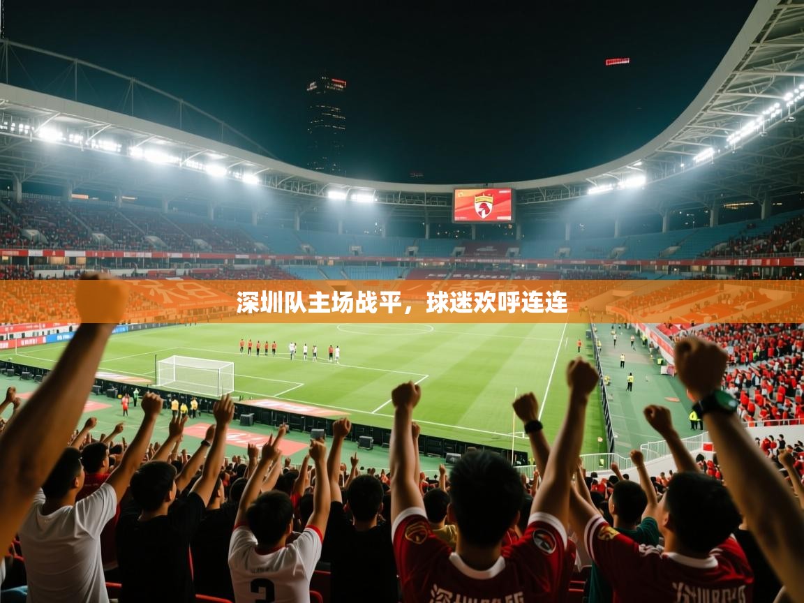深圳队主场战平,球迷欢呼连连 第1张