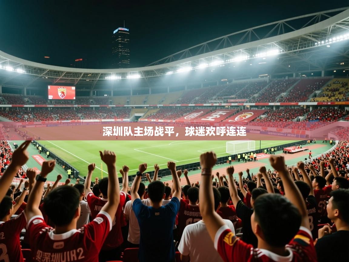 深圳队主场战平,球迷欢呼连连 第2张